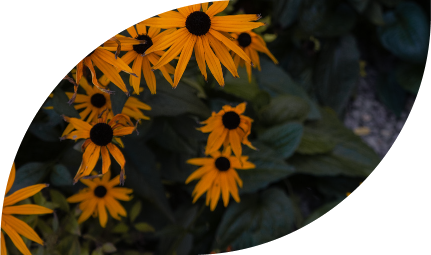 Gelbe Blumen Oval